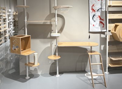 办公区域及展厅